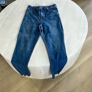 American Eagle Outfitters Blue Skinny Jeans